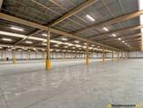 Warehouses to let in Industriepark-West 42