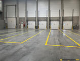 Warehouses to let in Zele Logistics Warehouse