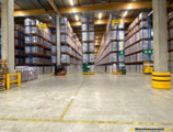 Warehouses to let in Warehouse for rent - IZ De Hulst Willebroek