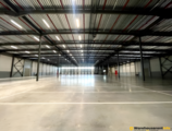 Warehouses to let in Warehouse to rent - Koffieweg