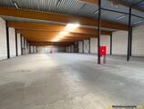 Warehouses to let in A12 Wilrijk Renovated Warehouse