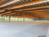 Warehouses to let in Langerbruggekaai – Port Logistics Warehouse