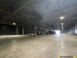 Warehouses to let in Binche Logistics Warehouse