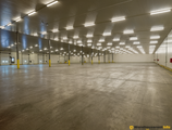 Warehouses to let in SEA INVEST Warehouse