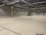 Warehouses to let in Geel Logistics Warehouse