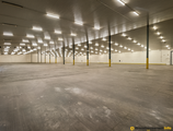 Warehouses to let in SEA INVEST Warehouse