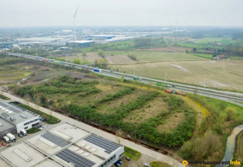 Warehouses to let in Willebroek — Brownfieldlaan