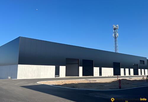 Warehouses to let in Haaltert Business Park Warehouse