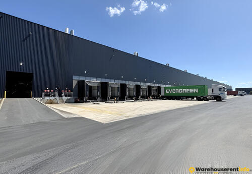 Warehouses to let in Warehouse for rent - Willebroek IV